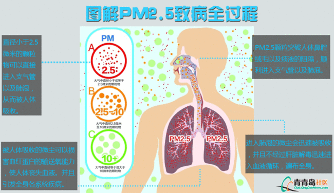 PM2.5致命.gif
